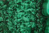 Polished Malachite Slab - Congo #157259-1